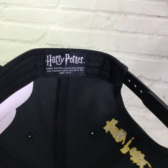 Harry Potter Hogwarts House Crest Logo Shimmer Hat main image 5